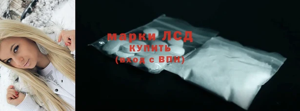 гашик Долгопрудный